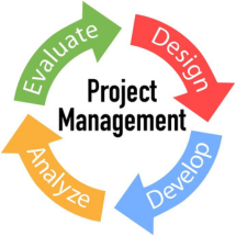 Project Management & Analysis